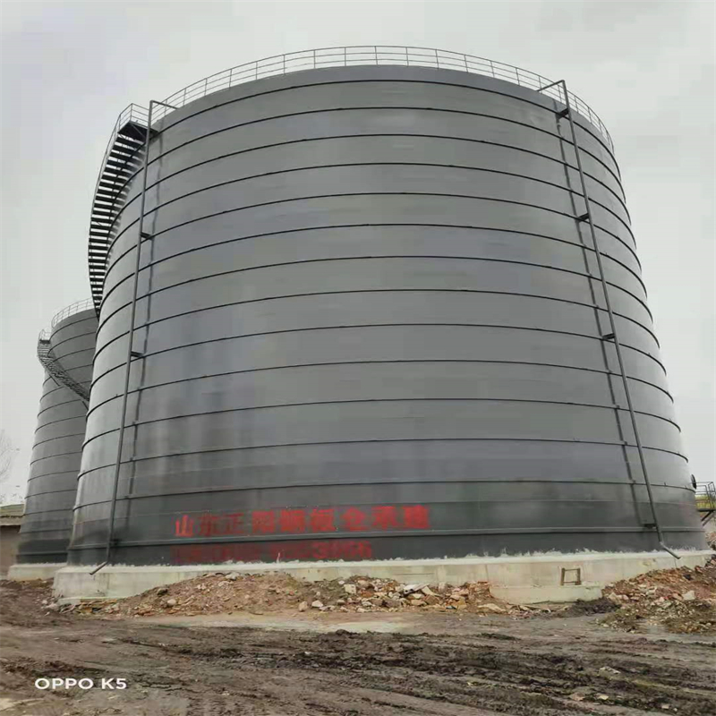 阜宁3万吨大型钢板库