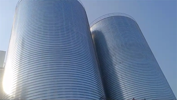 阜宁2座混凝土高架卷板仓